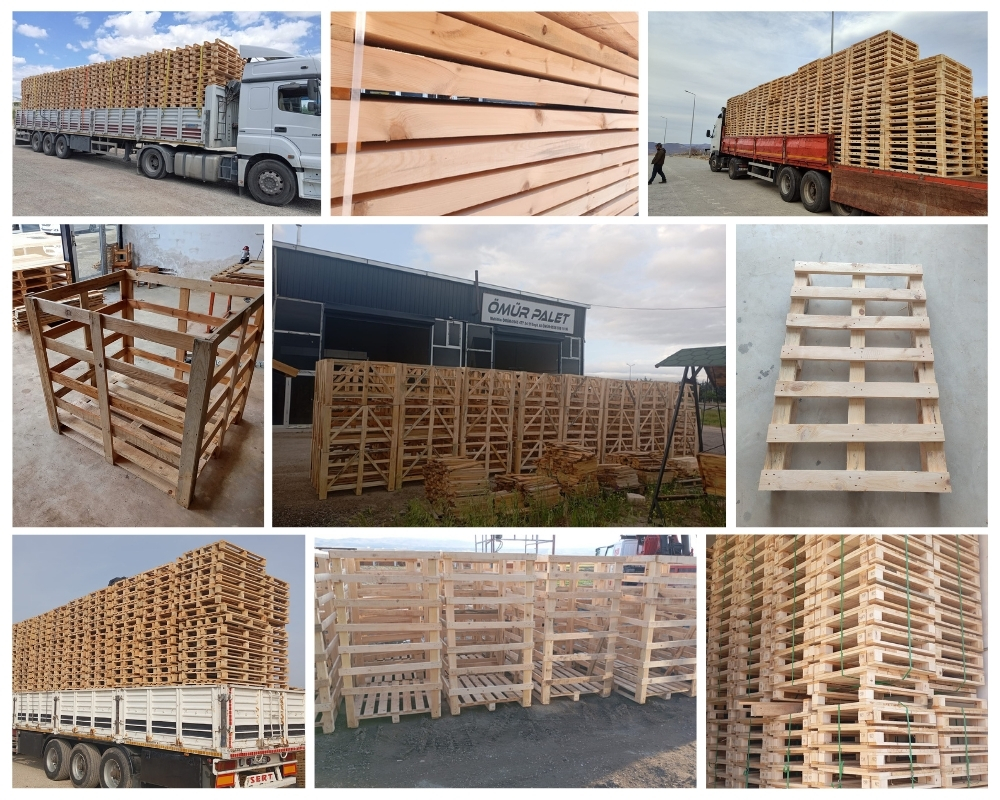Taranto Palette Europe, Acheter des palettes en gros